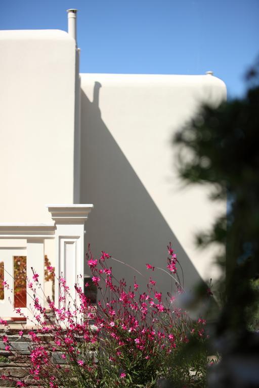 Aithra -Agios Petros Andros Villa Gavrio Eksteriør billede